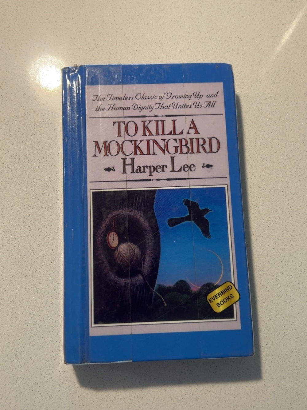 To Kill a Mockingbird by Harper Lee- Blue Cover